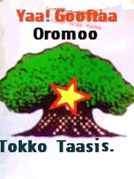 Ogwalaloo Afaan Oromoo(Oromoo Poetry)